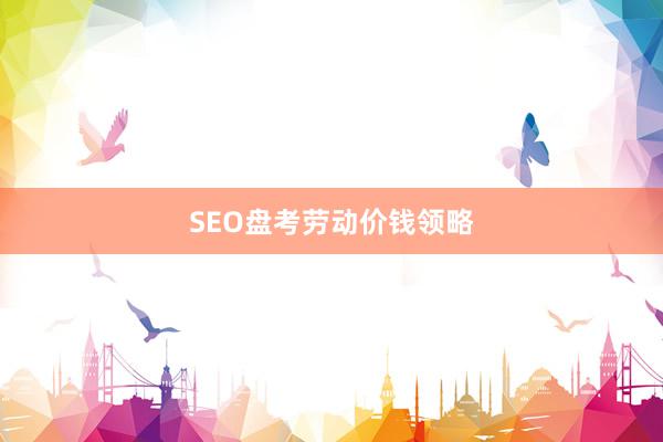 SEO盘考劳动价钱领略